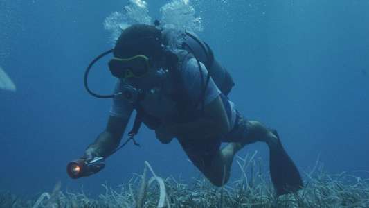 Deep Blood - Backdrop