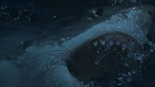 Deep Blood - Backdrop