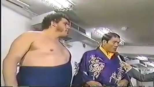 WWF/AJPW/NJPW Wrestling Summit - Backdrop