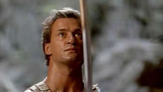 The Sword of Bushido - Backdrop