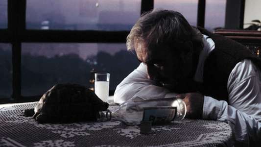 The Unforgettable Director of Romantic Movies - Backdrop