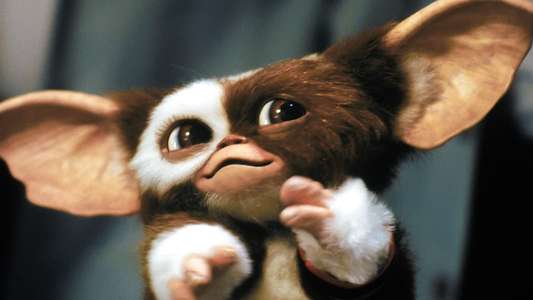 Gremlins 2: The New Batch - Backdrop
