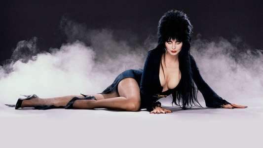 Elvira  Mistress of the Dark - Backdrop