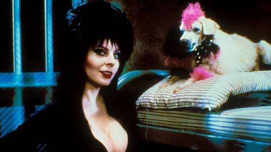 Elvira  Mistress of the Dark - Backdrop