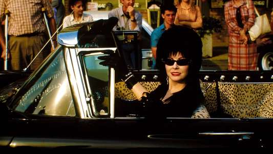 Elvira  Mistress of the Dark - Backdrop