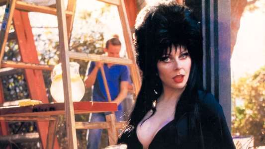 Elvira  Mistress of the Dark - Backdrop