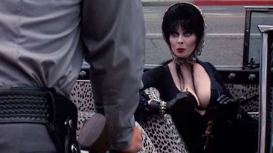 Elvira  Mistress of the Dark - Backdrop