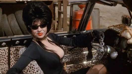 Elvira  Mistress of the Dark - Backdrop