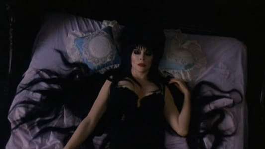 Elvira  Mistress of the Dark - Backdrop
