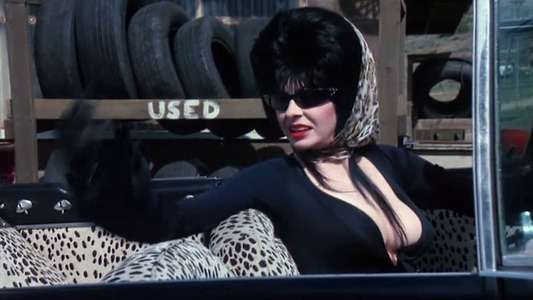 Elvira  Mistress of the Dark - Backdrop