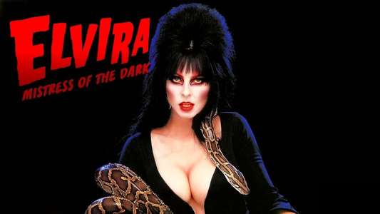 Elvira  Mistress of the Dark - Backdrop