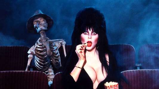 Elvira  Mistress of the Dark - Backdrop