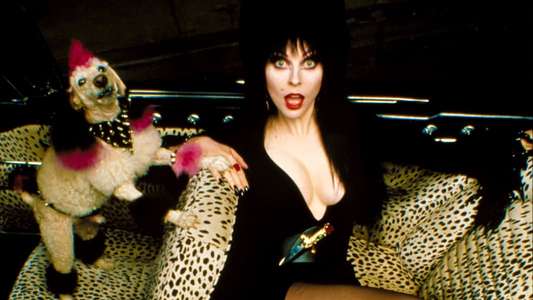 Elvira  Mistress of the Dark - Backdrop