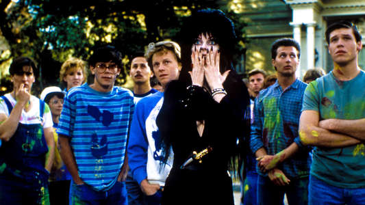 Elvira  Mistress of the Dark - Backdrop