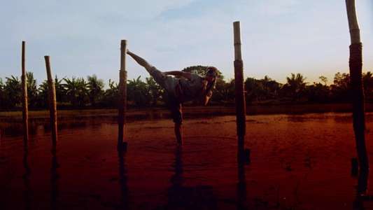 The King of the Kickboxers - Backdrop