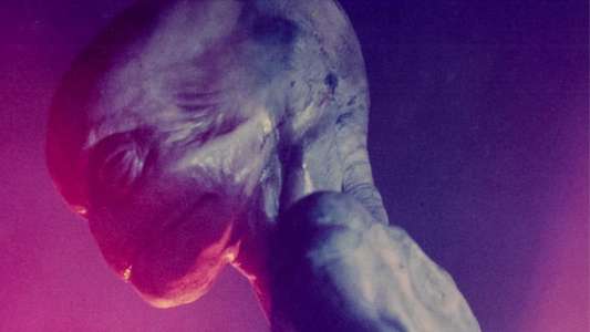 Pumpkinhead - Backdrop
