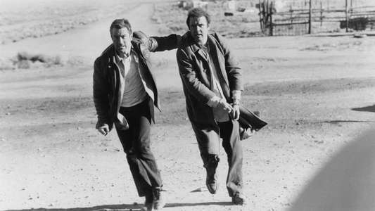 Midnight Run - Backdrop
