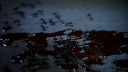 Edgar Allan Poe's Buried Alive - Backdrop