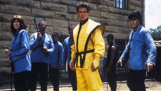 American Ninja 4: The Annihilation - Backdrop