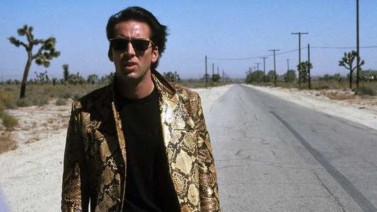 Wild at Heart - Backdrop