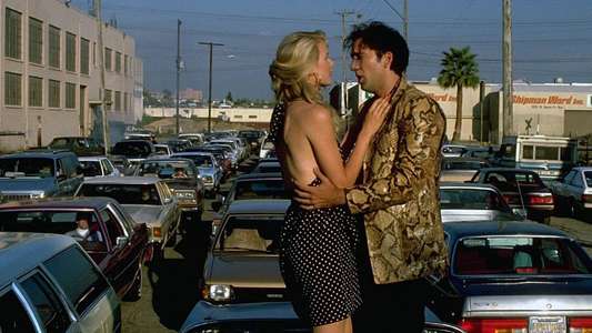 Wild at Heart - Backdrop