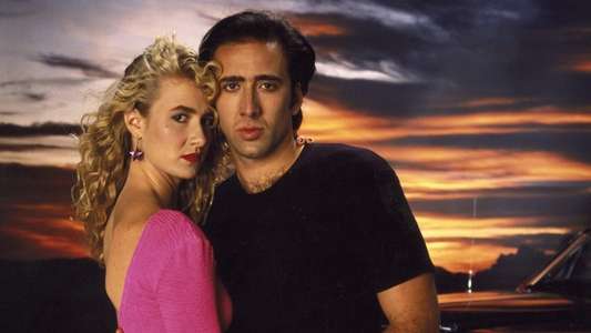 Wild at Heart - Backdrop