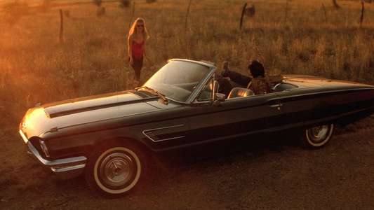 Wild at Heart - Backdrop