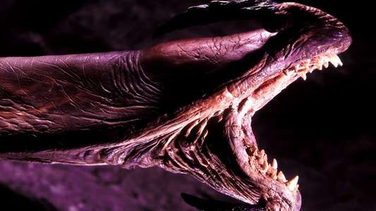 Tremors - Backdrop