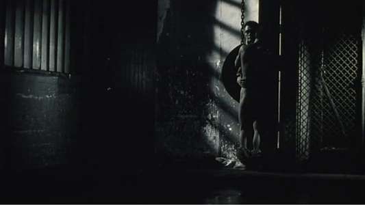 Nuit docile - Backdrop