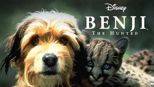 Benji the Hunted - Backdrop