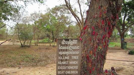 Cambodia: The Betrayal - Backdrop