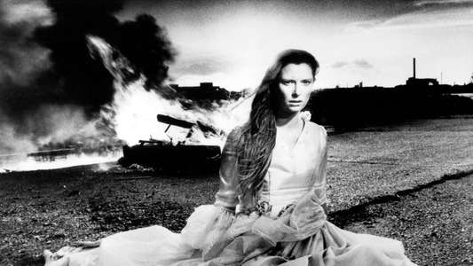 The Last of England - Backdrop