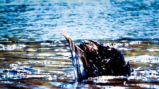Creepshow 2 - Backdrop