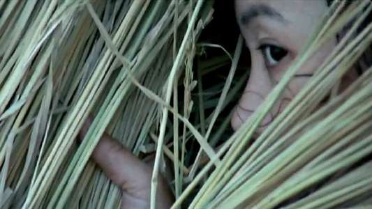 The Girl from Hunan - Backdrop