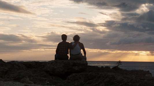 The Karate Kid  Part II - Backdrop