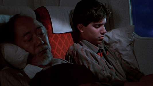 The Karate Kid  Part II - Backdrop