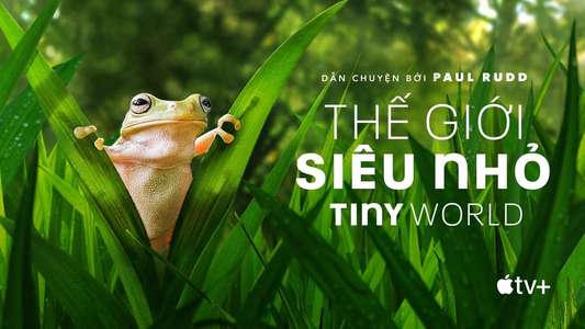 Tiny World - Backdrops