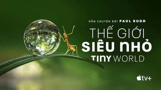Tiny World - Backdrops