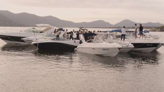 Wild and Free: Florianópolis - Backdrops