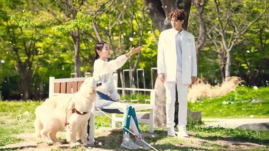 Angel's Last Mission: Love - Backdrops