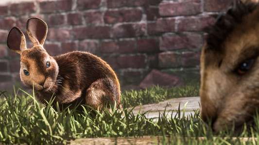 Watership Down - Backdrops