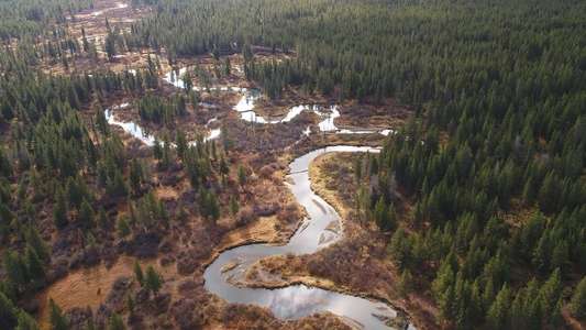 Earth's Great Rivers - Backdrops