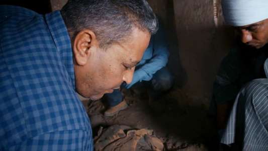 Lost Treasures of Egypt - Backdrops