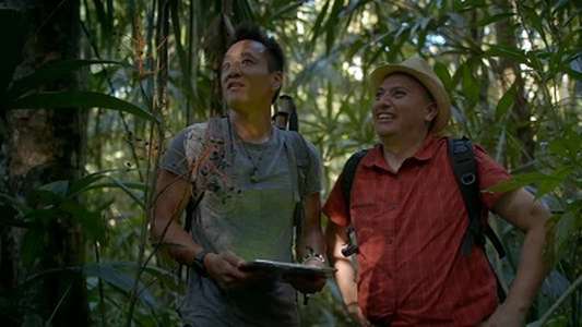 Lost Treasures of the Maya - Backdrops