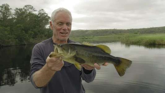 Jeremy Wade's Dark Waters - Backdrop