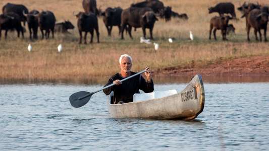 Jeremy Wade's Mighty Rivers - Backdrop