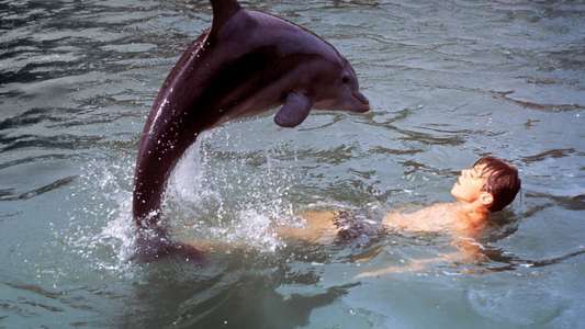 Flipper's New Adventure - Backdrop