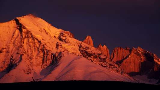 The Dark - Nature's Nighttime Worlds - Backdrop