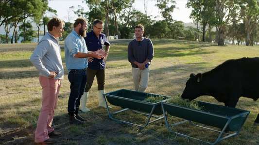 Down to Earth with Zac Efron - Backdrops