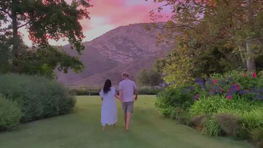Harry & Meghan - Backdrops
